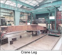 27. Crane Leg.jpg